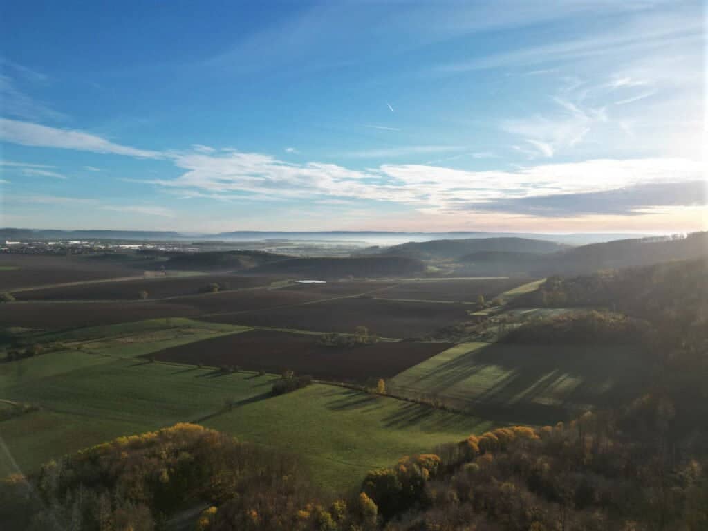 Landschaft mit Feldern und Wald